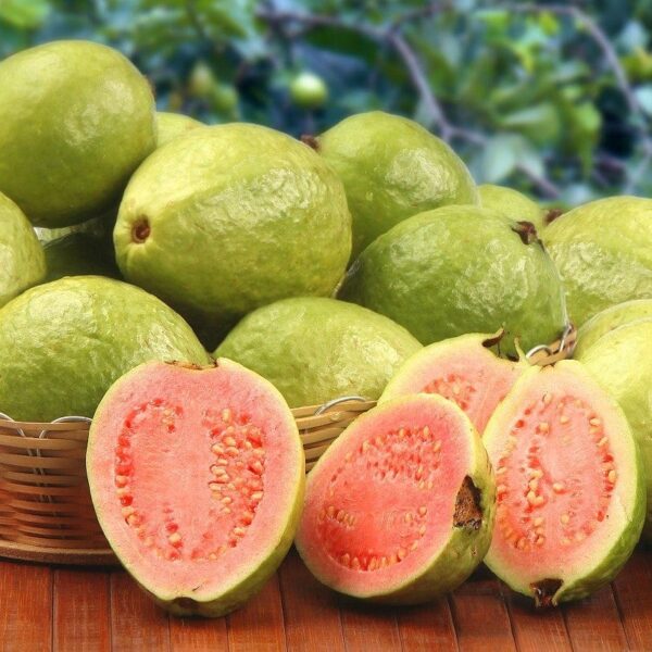 Amrood (Guava)